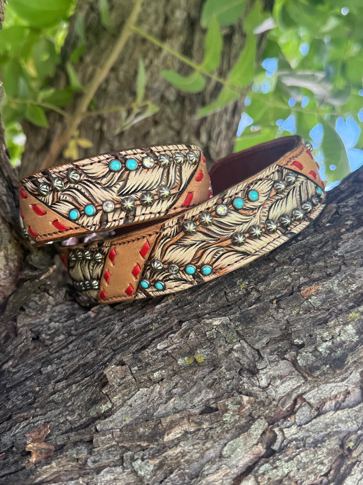 
                  
                    "Dakota" - Dog Collar
                  
                