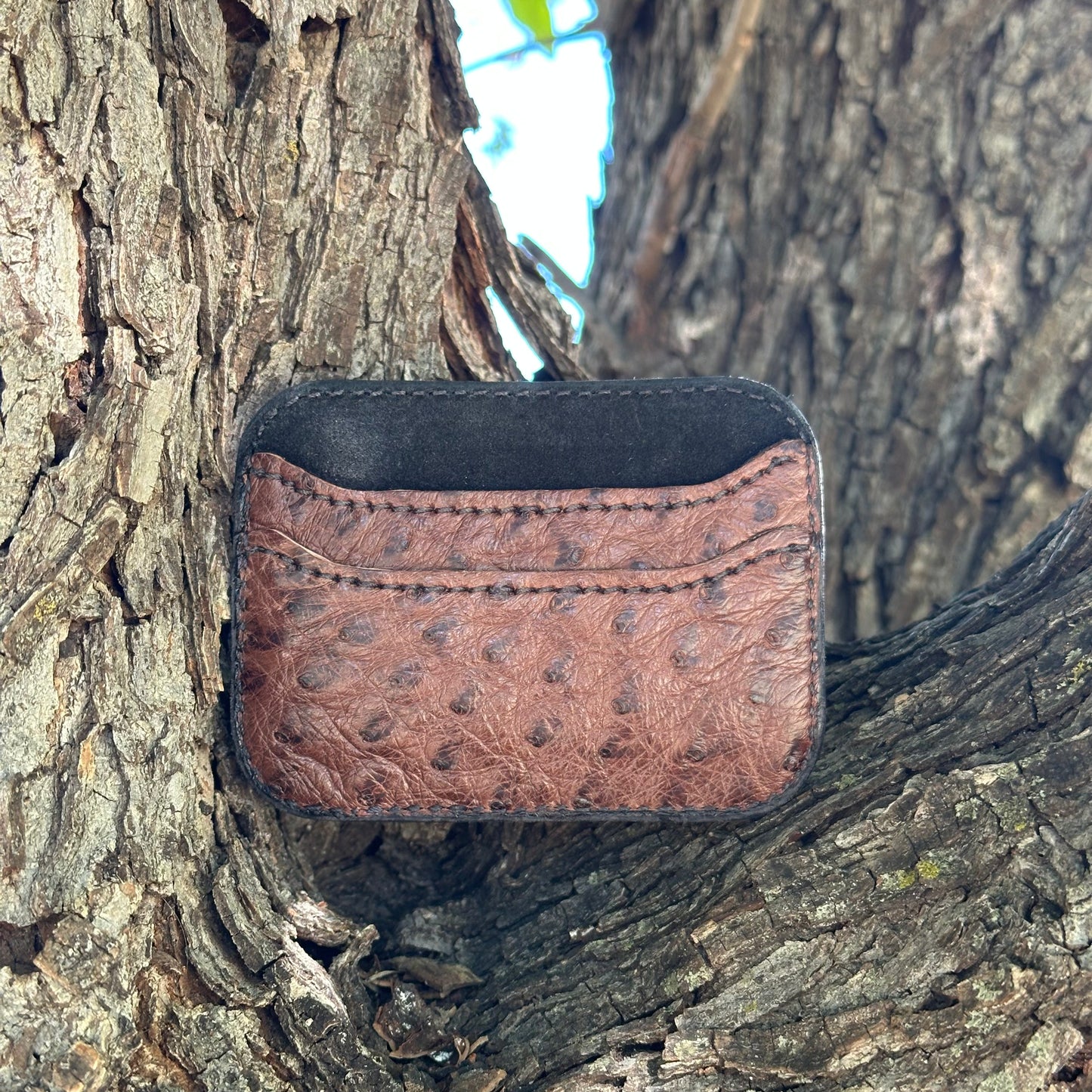 
                  
                    Dude Pop Cardholder
                  
                