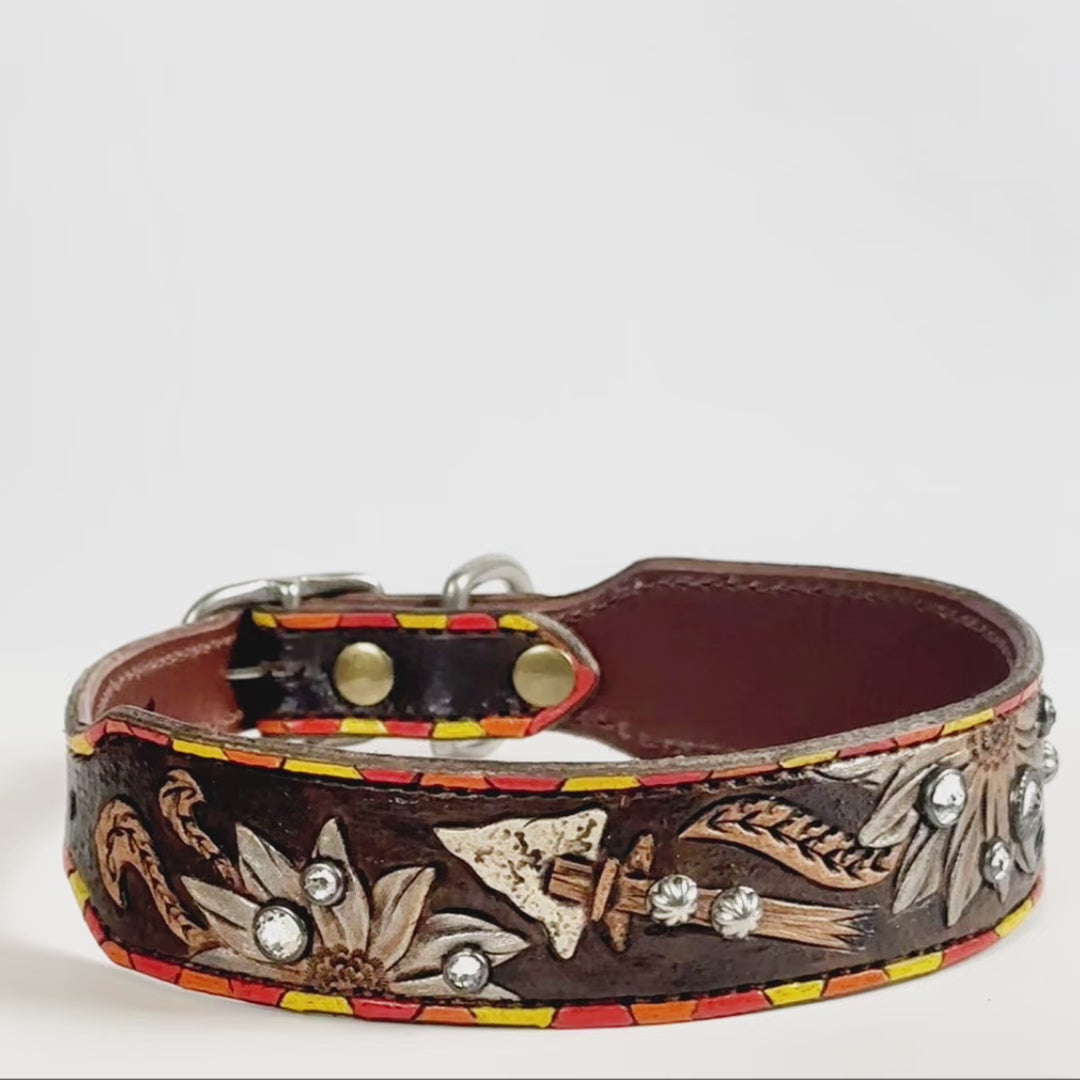 
                  
                    Load and play video in Gallery viewer, &amp;quot;Maverick&amp;quot; - Dog Collar
                  
                