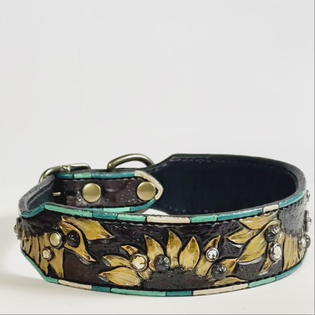 
                  
                    Load and play video in Gallery viewer, &amp;quot;Sunny&amp;quot; - Dog Collar
                  
                