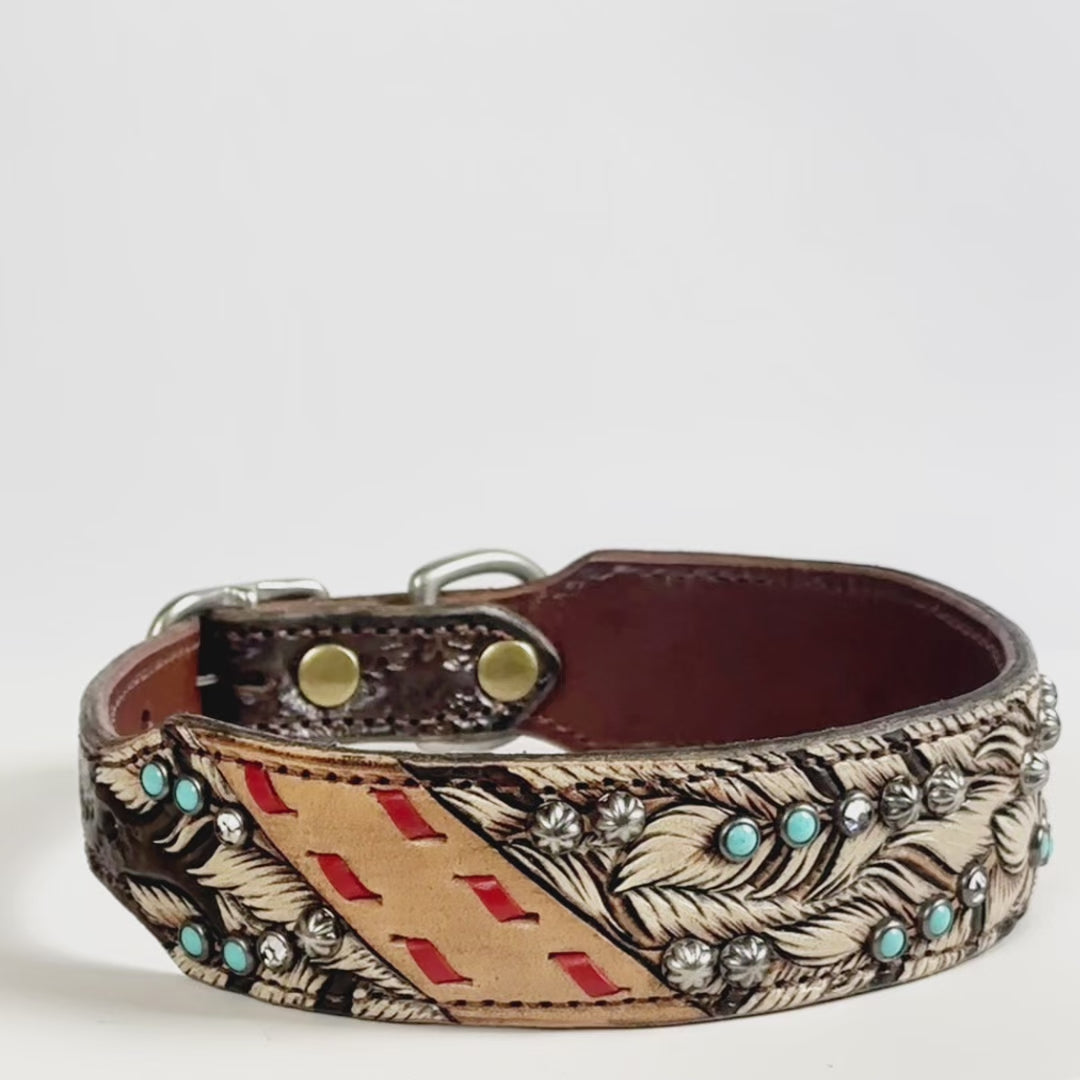 
                  
                    Load and play video in Gallery viewer, &amp;quot;Dakota&amp;quot; - Dog Collar
                  
                